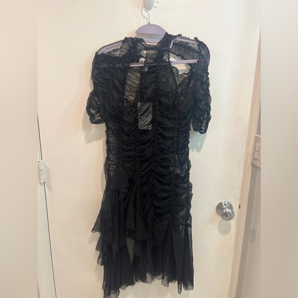 Bnwt Ester Manas sheer dress